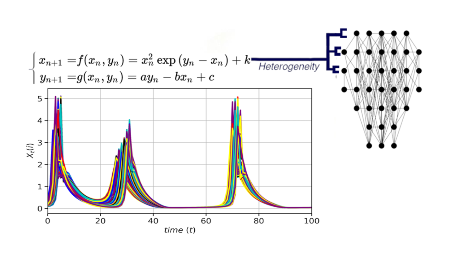 Griffiths Phase Network